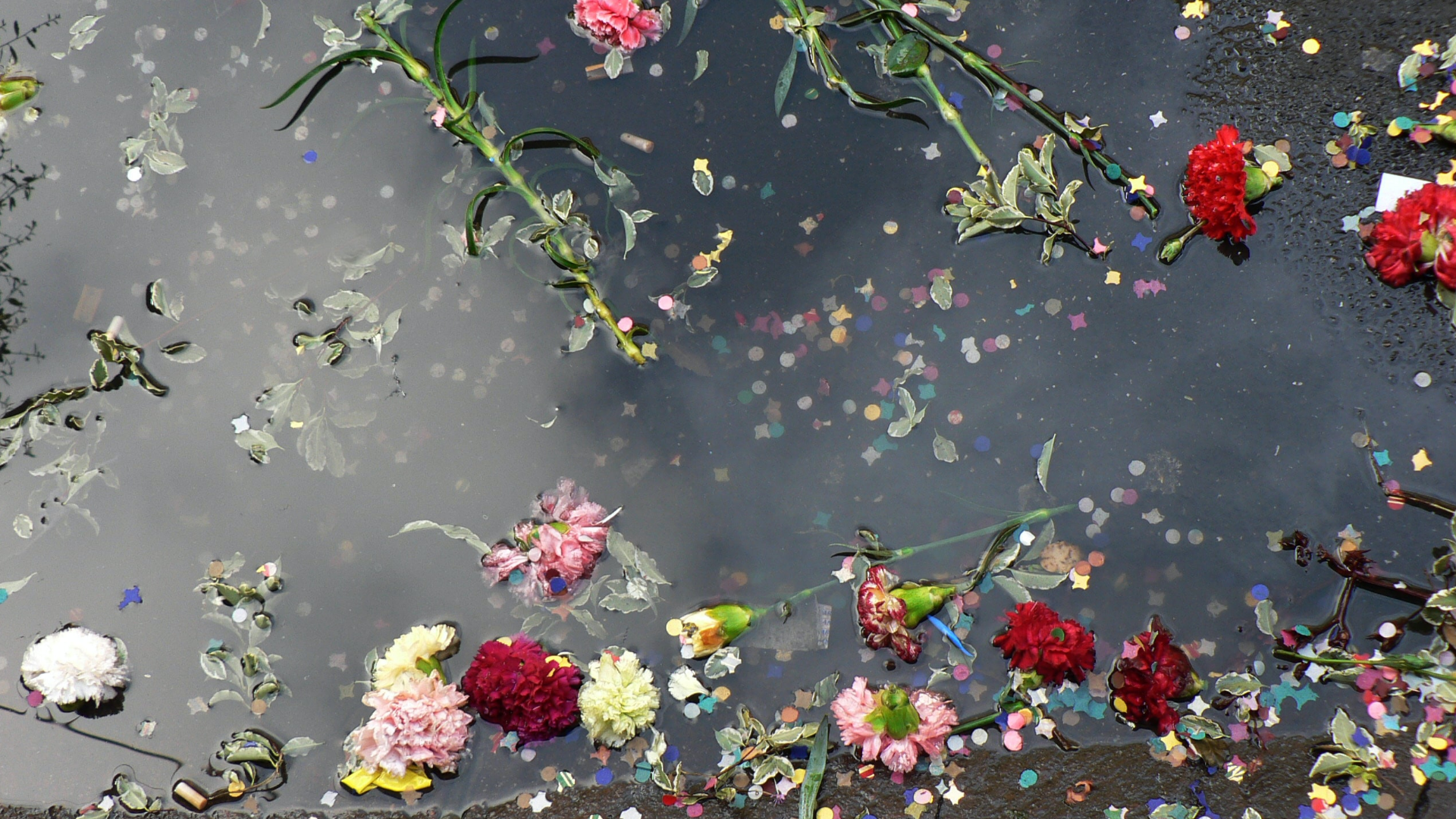 Springtime brings forth the flourishing beauty of love when love birds unite in marriage